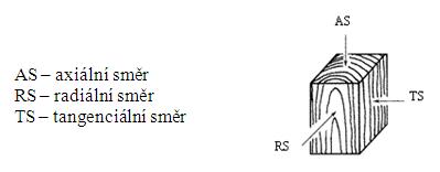 Obr. 11: Základní anatomické směry v kmeni