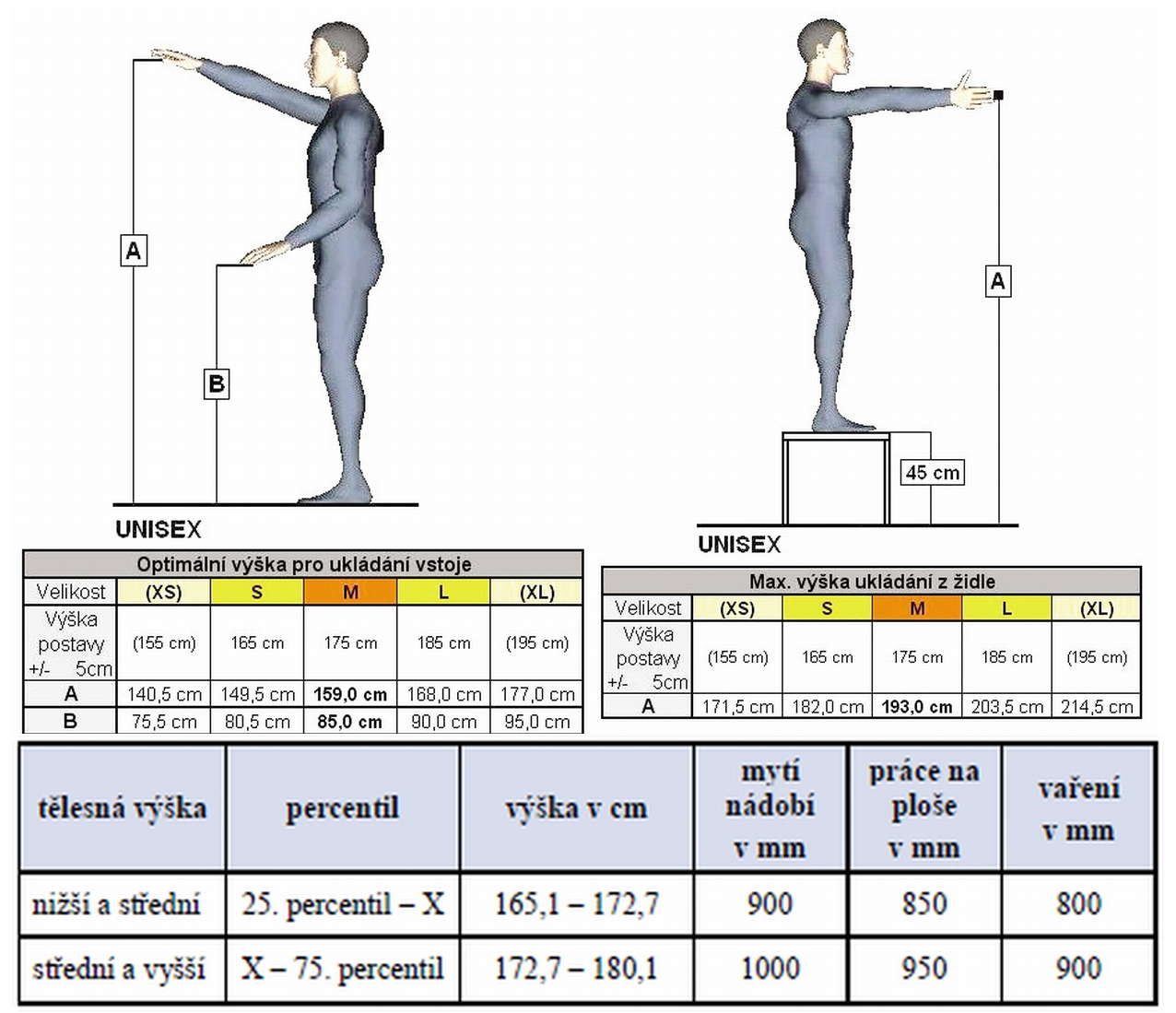Výška postavy – ergonomicky doporučená výška pracovní plochy
