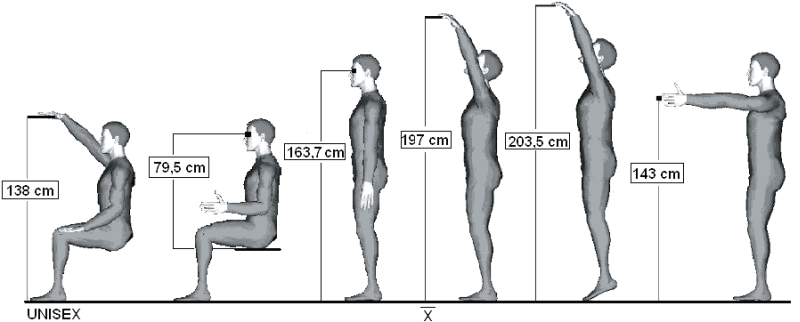 Dosah průměrné výšky 174,2 cm / UNISEX